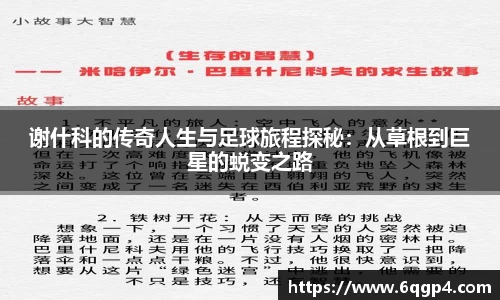 谢什科的传奇人生与足球旅程探秘：从草根到巨星的蜕变之路
